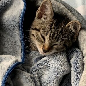 Meet your Posher, Kaitlyn